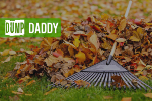 Image of a rake in fall leaves